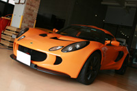 902 elise IMG_3210.jpg